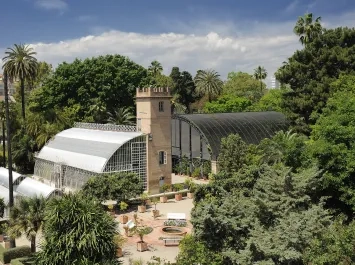 Visitas guiadas por el Jardín Botánico de València